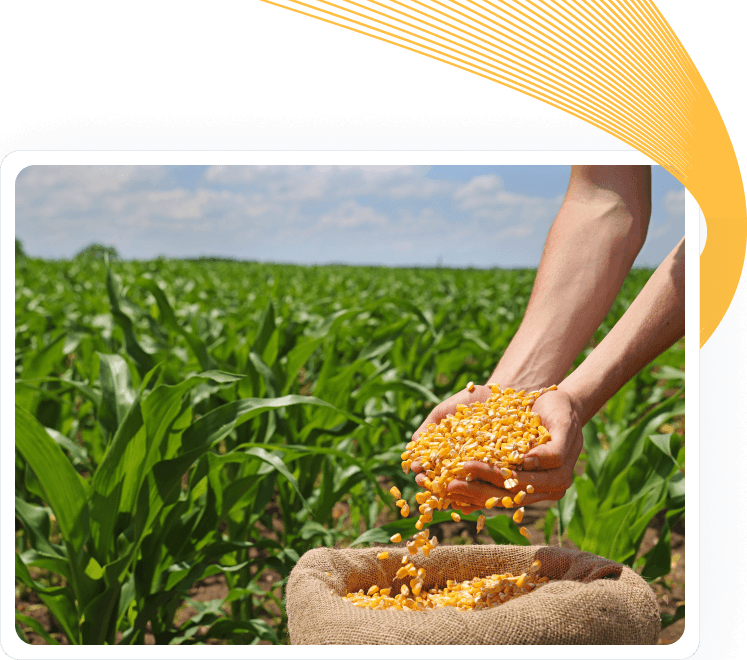 Why Cardinal Ethanol?
